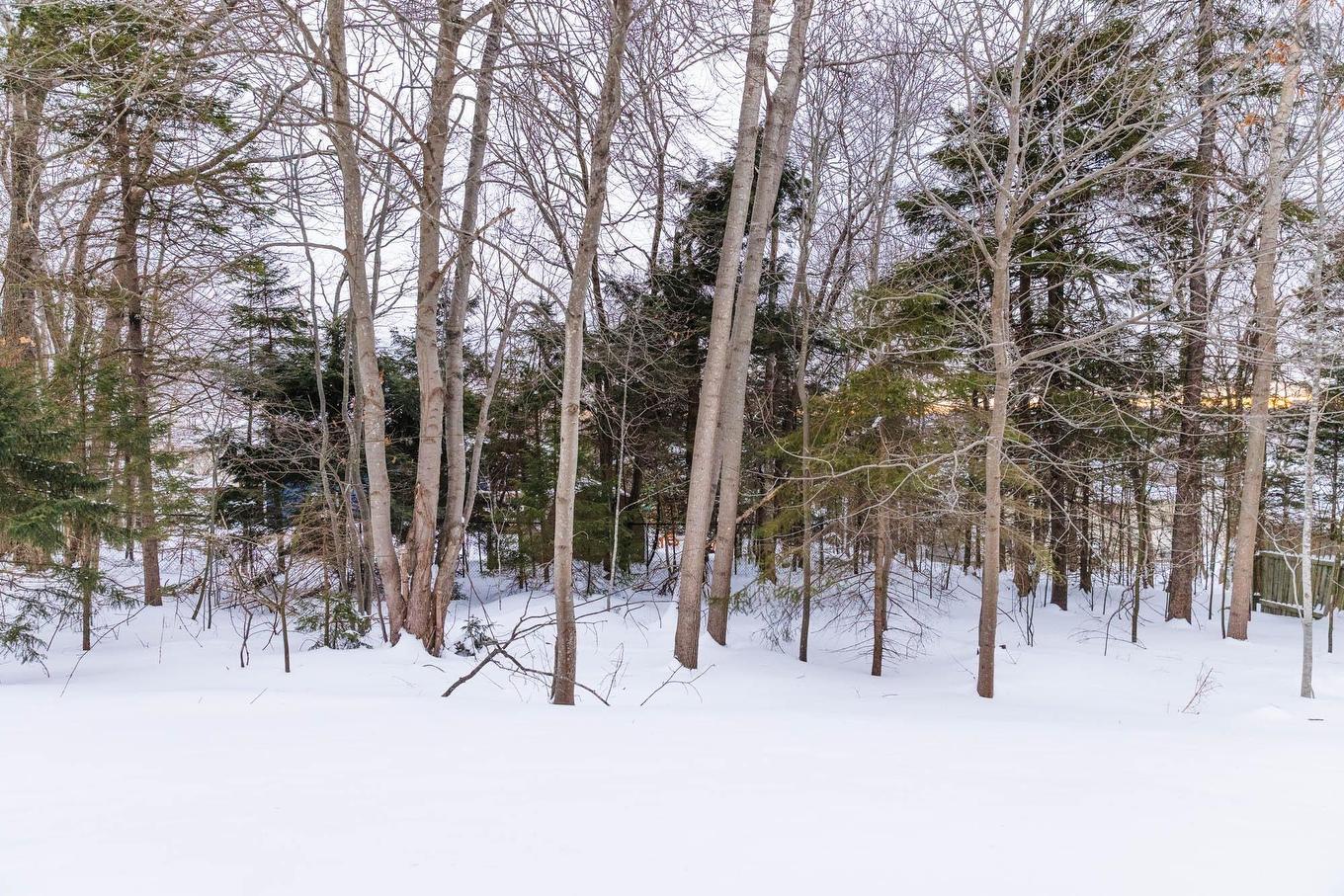 15 Appian Way, Dartmouth, NS