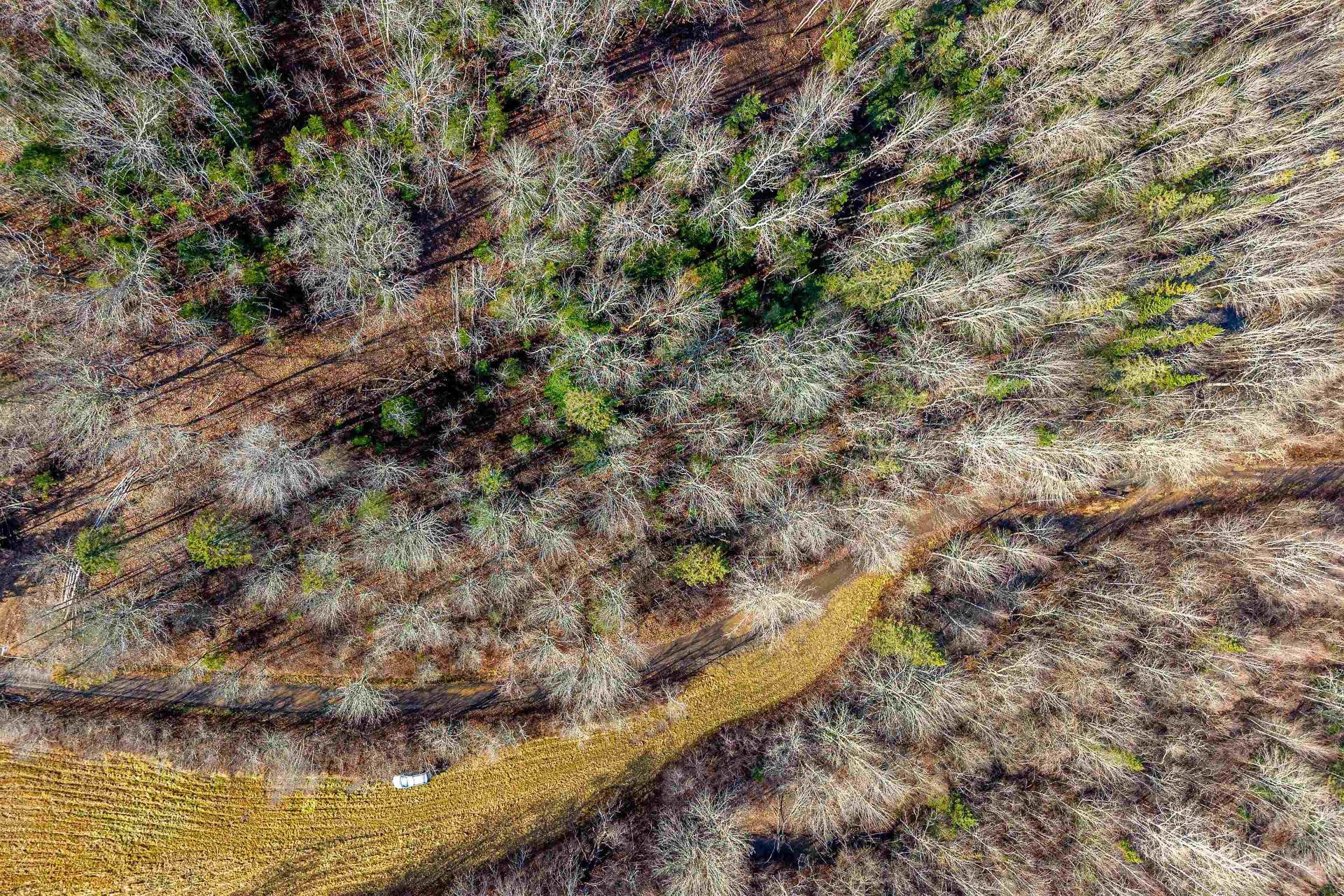 Fuller Road, Bishopville, NS