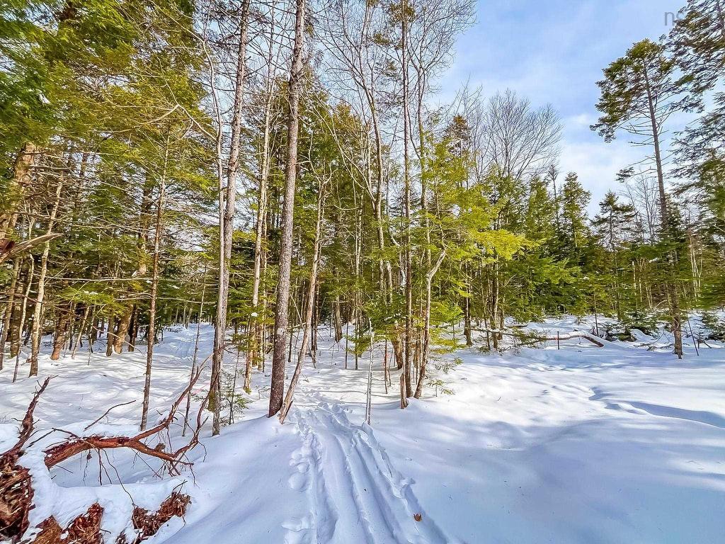 Lot 9 Conquerall Road, Conquerall Bank, NS