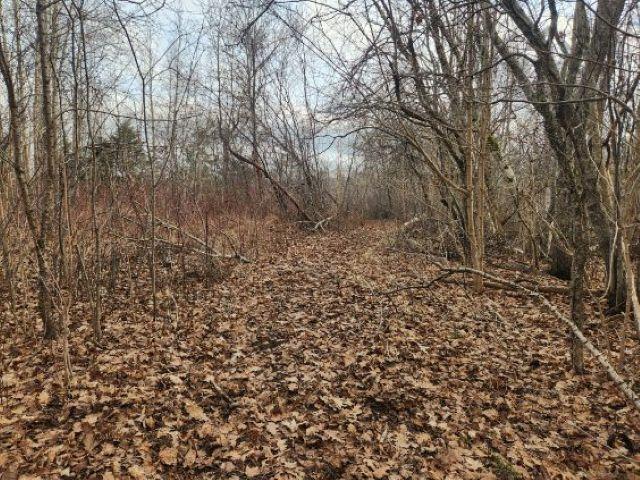 8 Acres Cedar Road, Maitland, NS