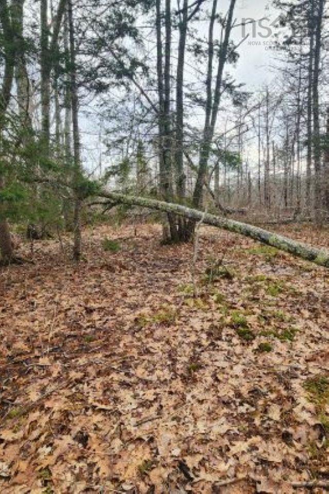 8 Acres Cedar Road, Maitland, NS