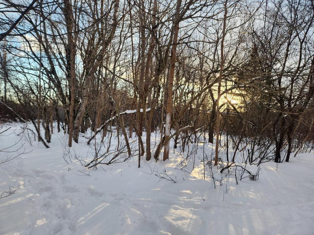 8 Acres Cedar Road, Maitland, NS