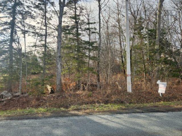 8 Acres Cedar Road, Maitland, NS