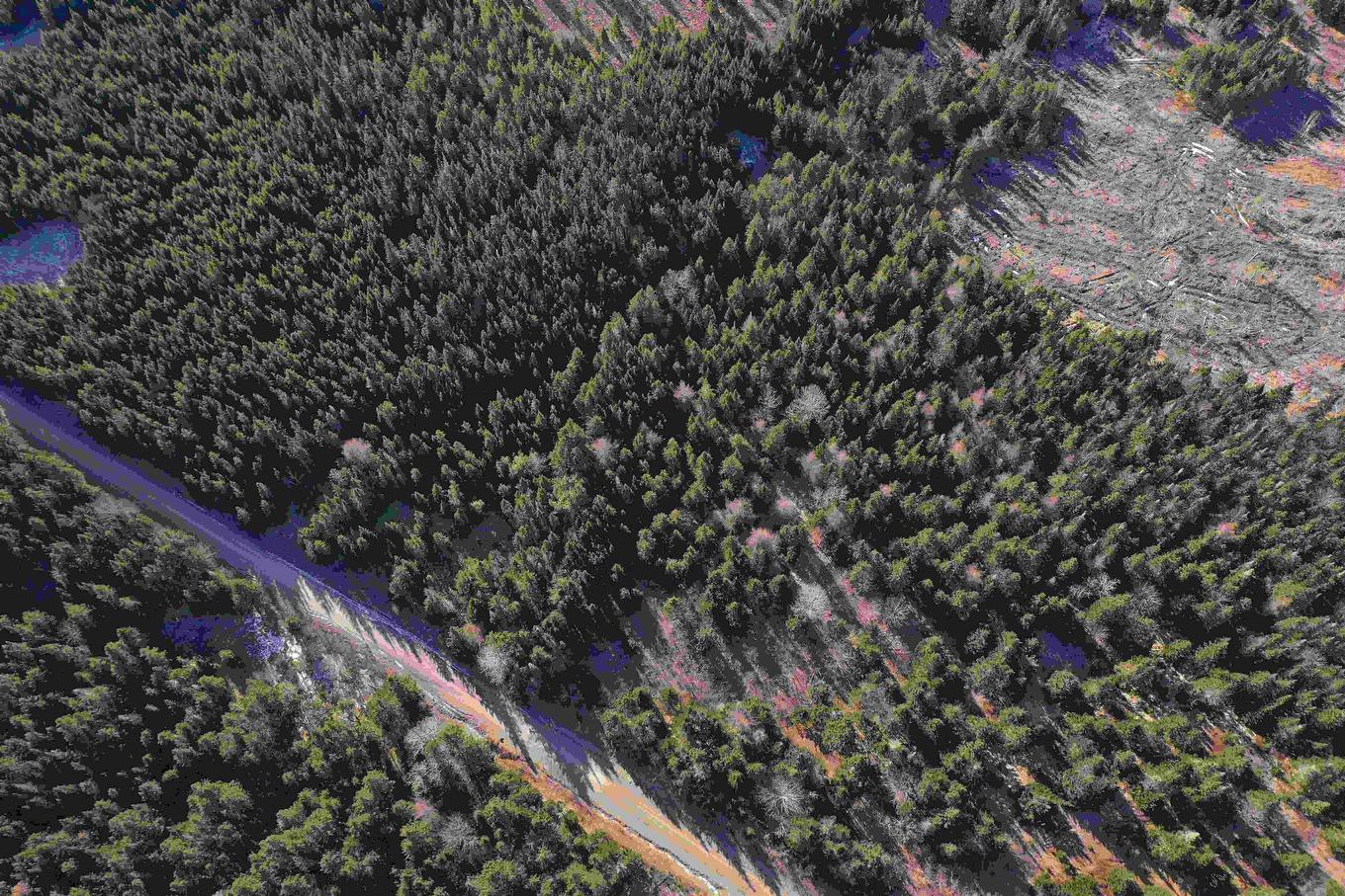 Old Monastery Road, North Riverside, NS