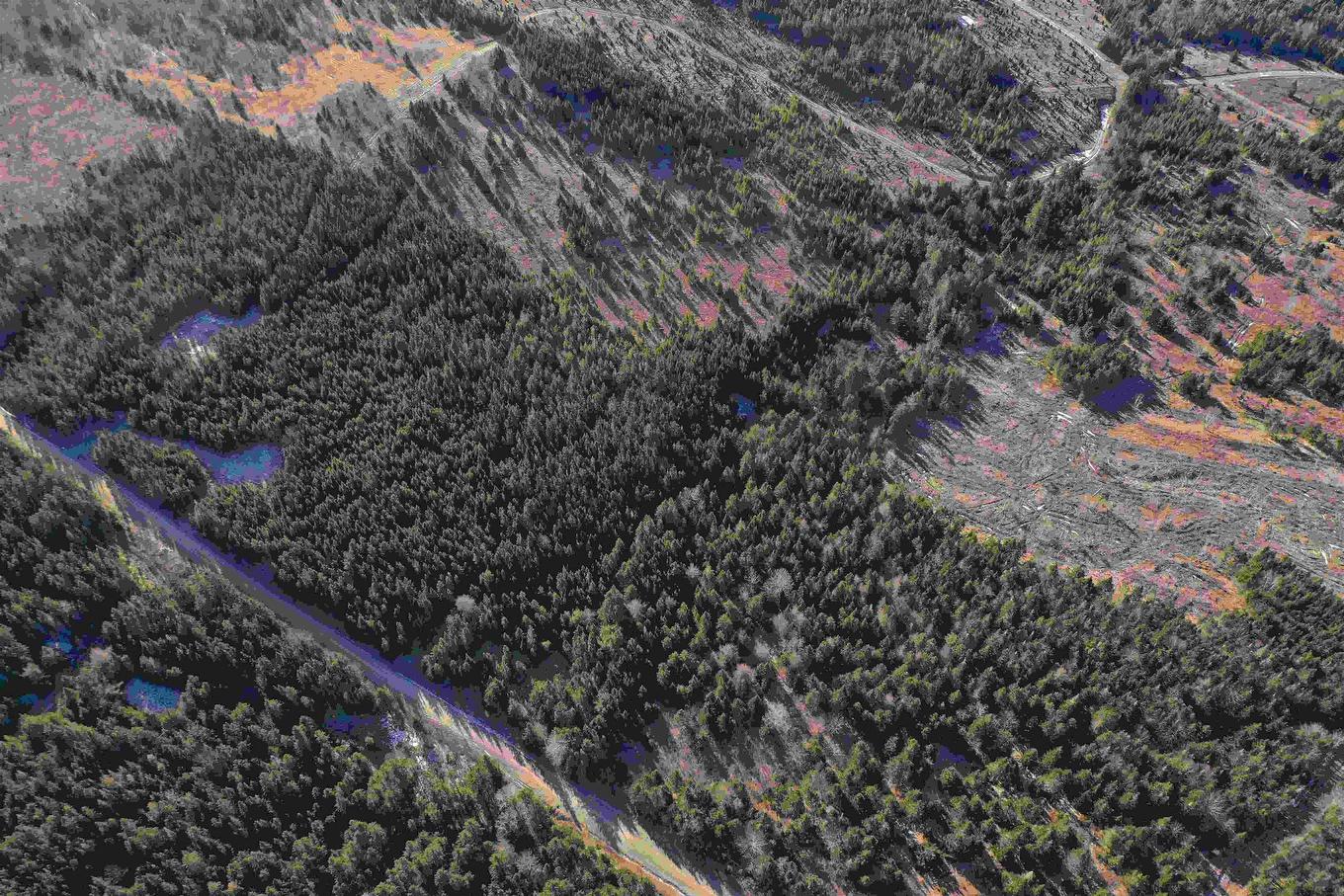 Old Monastery Road, North Riverside, NS