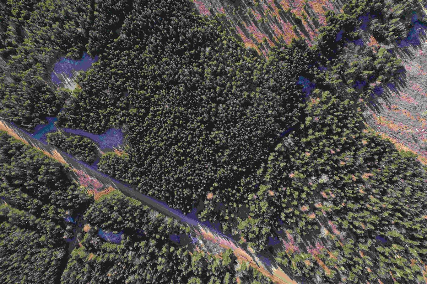 Old Monastery Road, North Riverside, NS