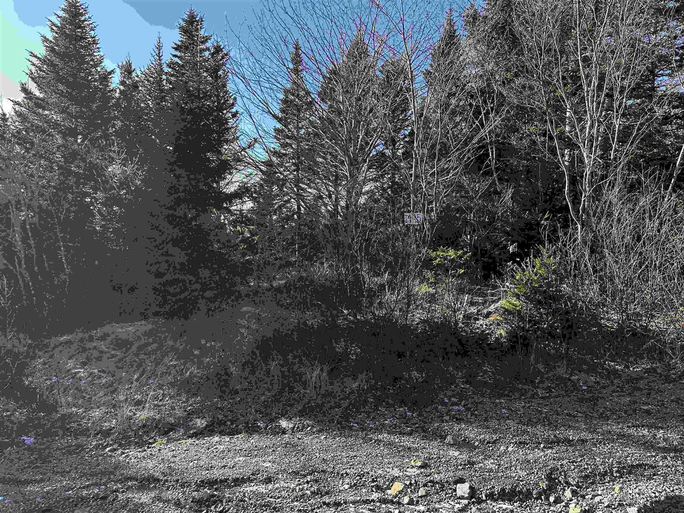 Old Monastery Road, North Riverside, NS