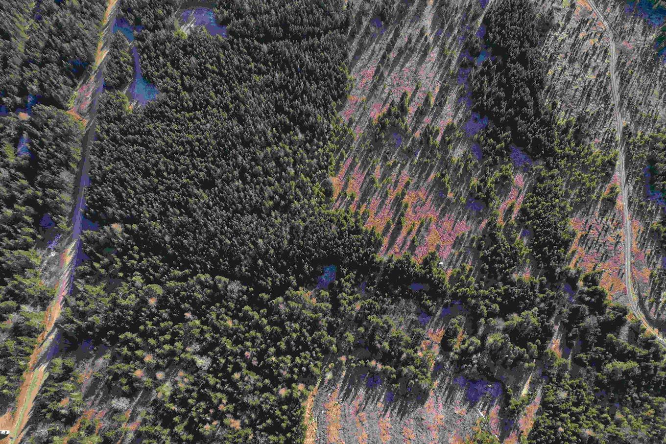 Old Monastery Road, North Riverside, NS