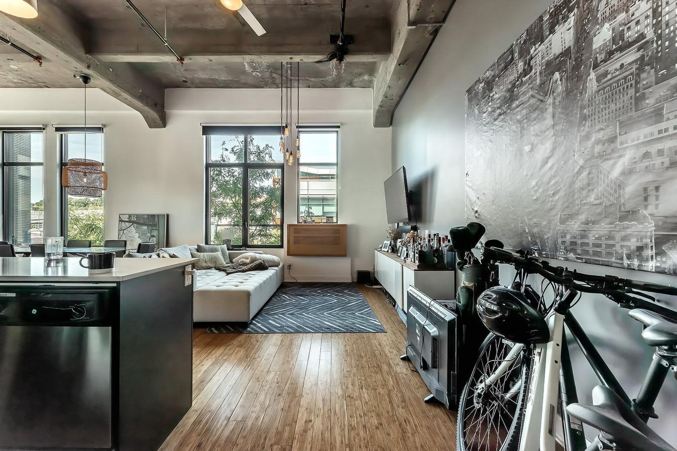 Living room - 349-3700 Rue St-Antoine O., Montréal (Le Sud-Ouest), QC - Indoor