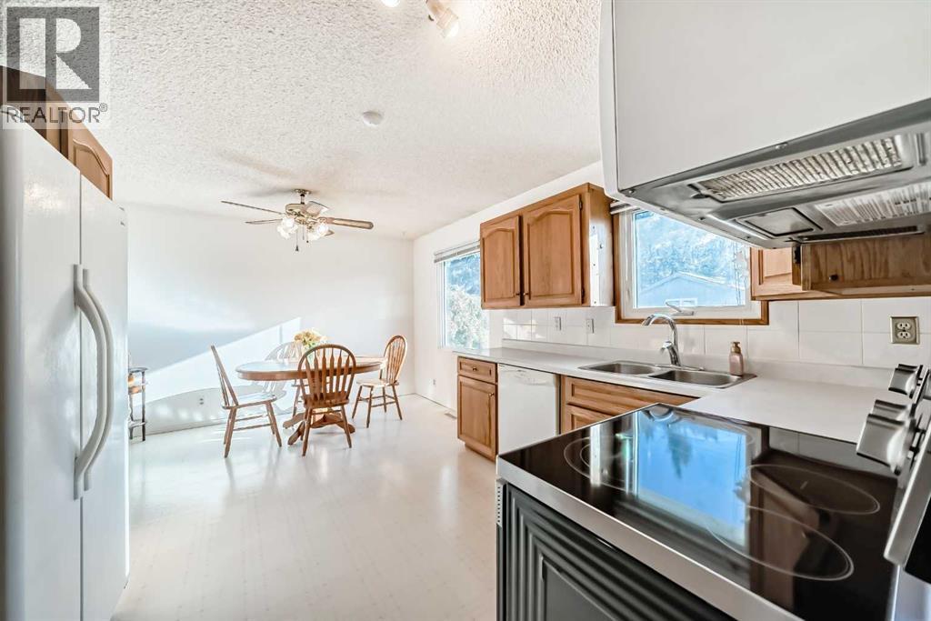 2205 80 Avenue Se, Calgary, AB - Indoor Photo Showing Kitchen With Double Sink