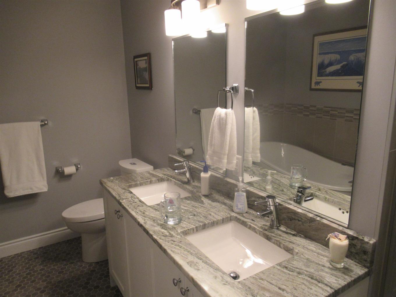 103 1230 Dawson Road, Thunder Bay, ON - Indoor Photo Showing Bathroom