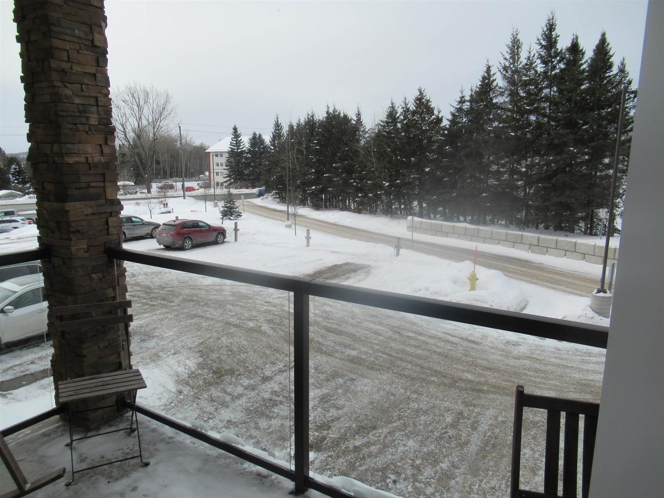 103 1230 Dawson Road, Thunder Bay, ON - Outdoor With Balcony With View