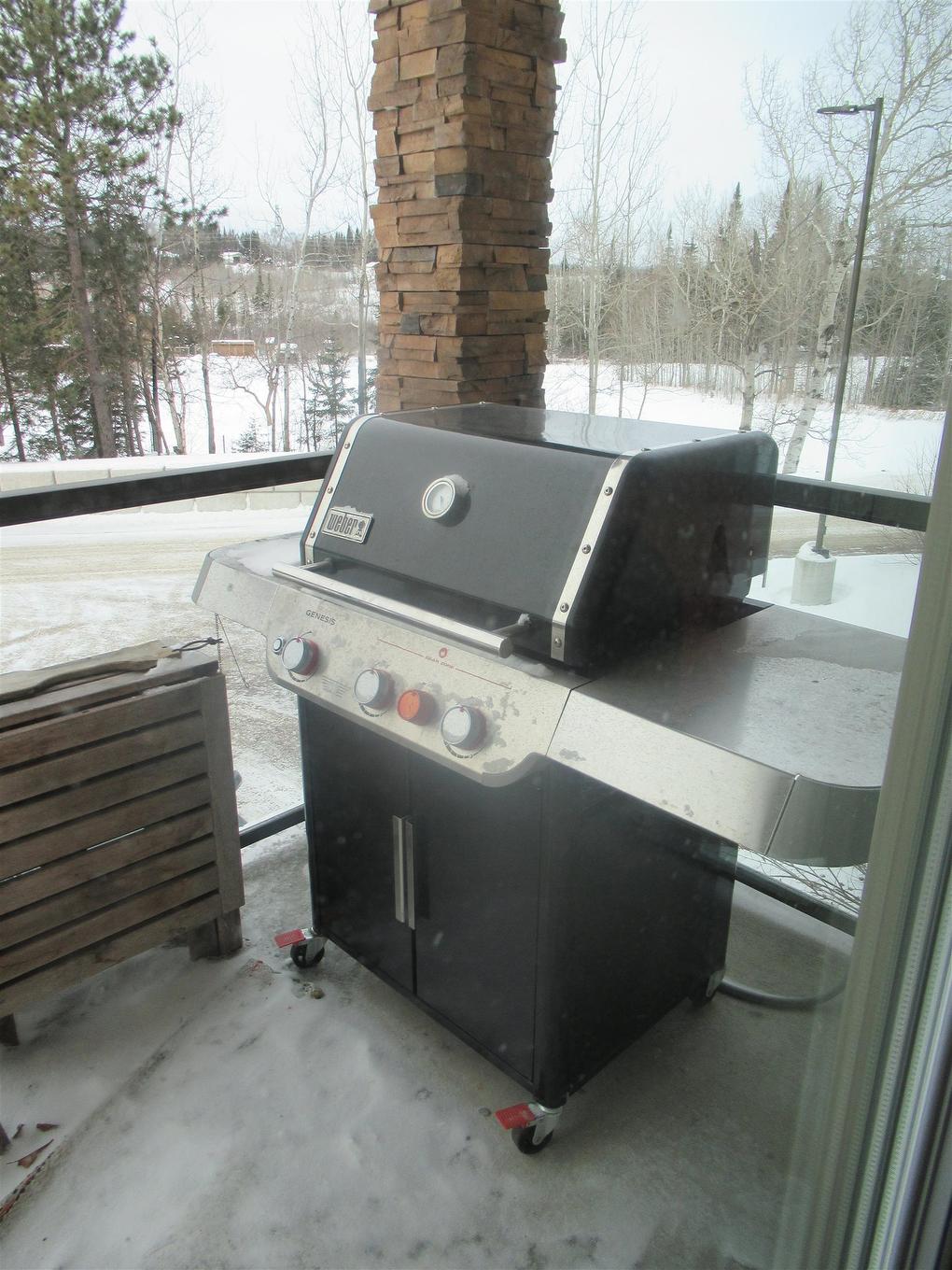 103 1230 Dawson Road, Thunder Bay, ON - Photo Showing Other Room