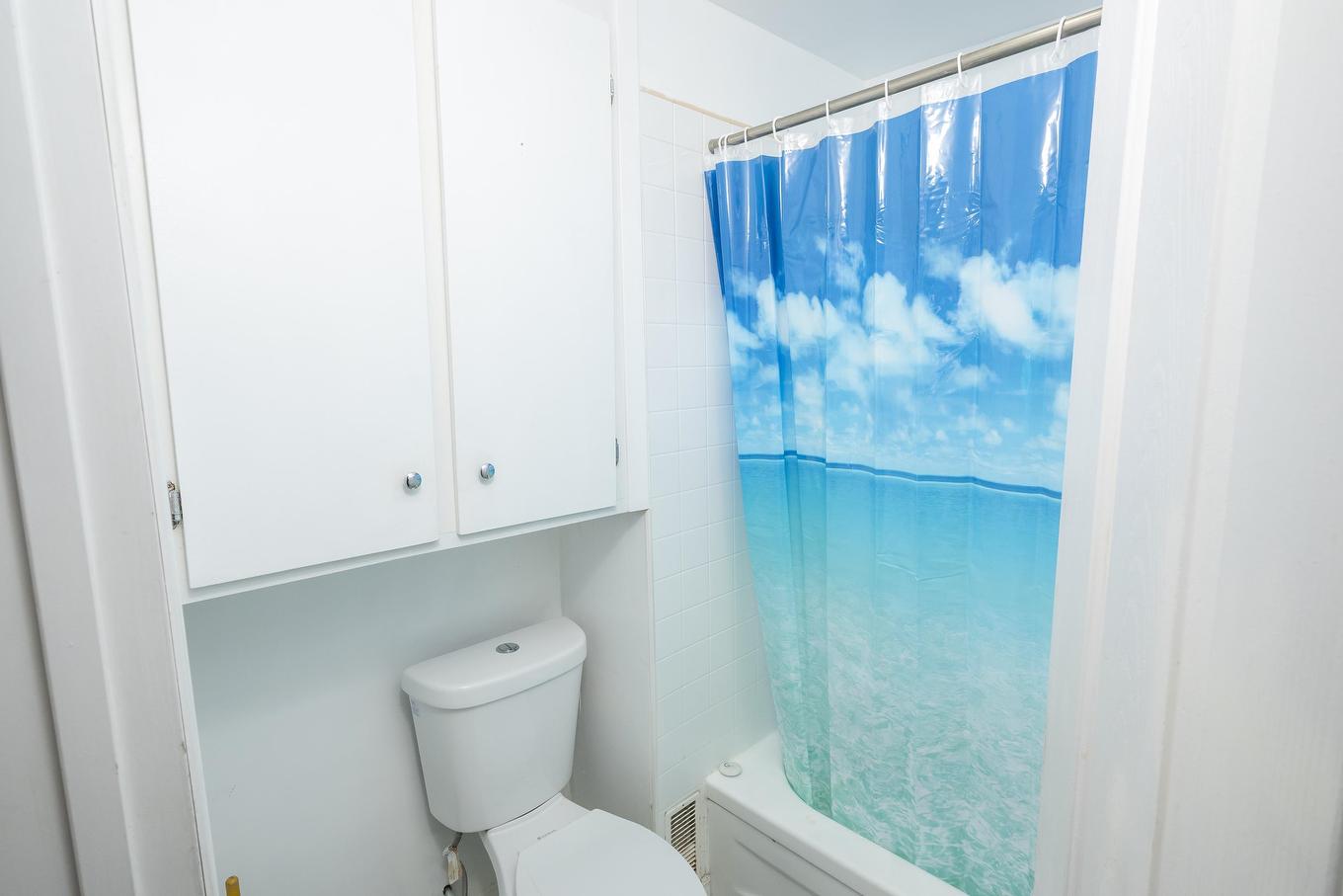 824 Finlayson Street, Thunder Bay, ON - Indoor Photo Showing Bathroom