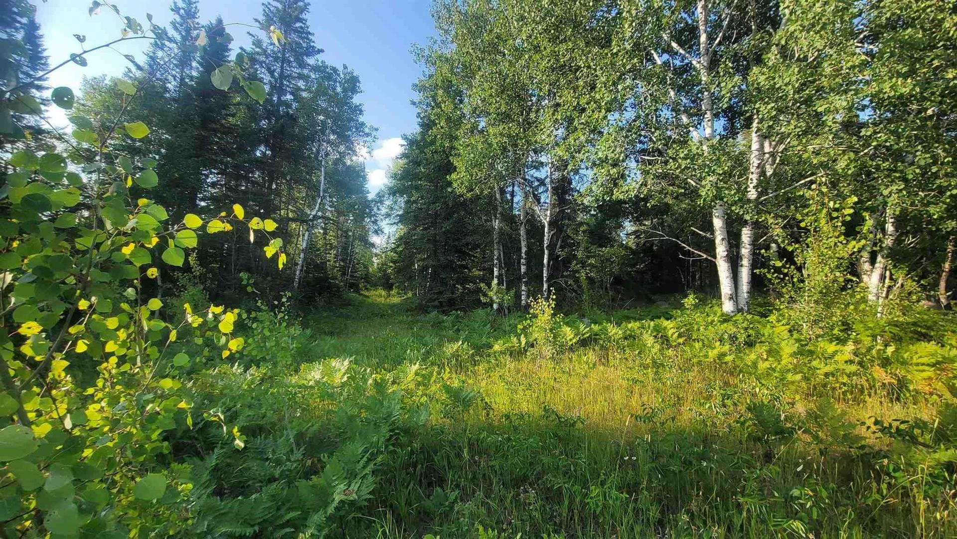 0 Ascough Road, Kenora, ON