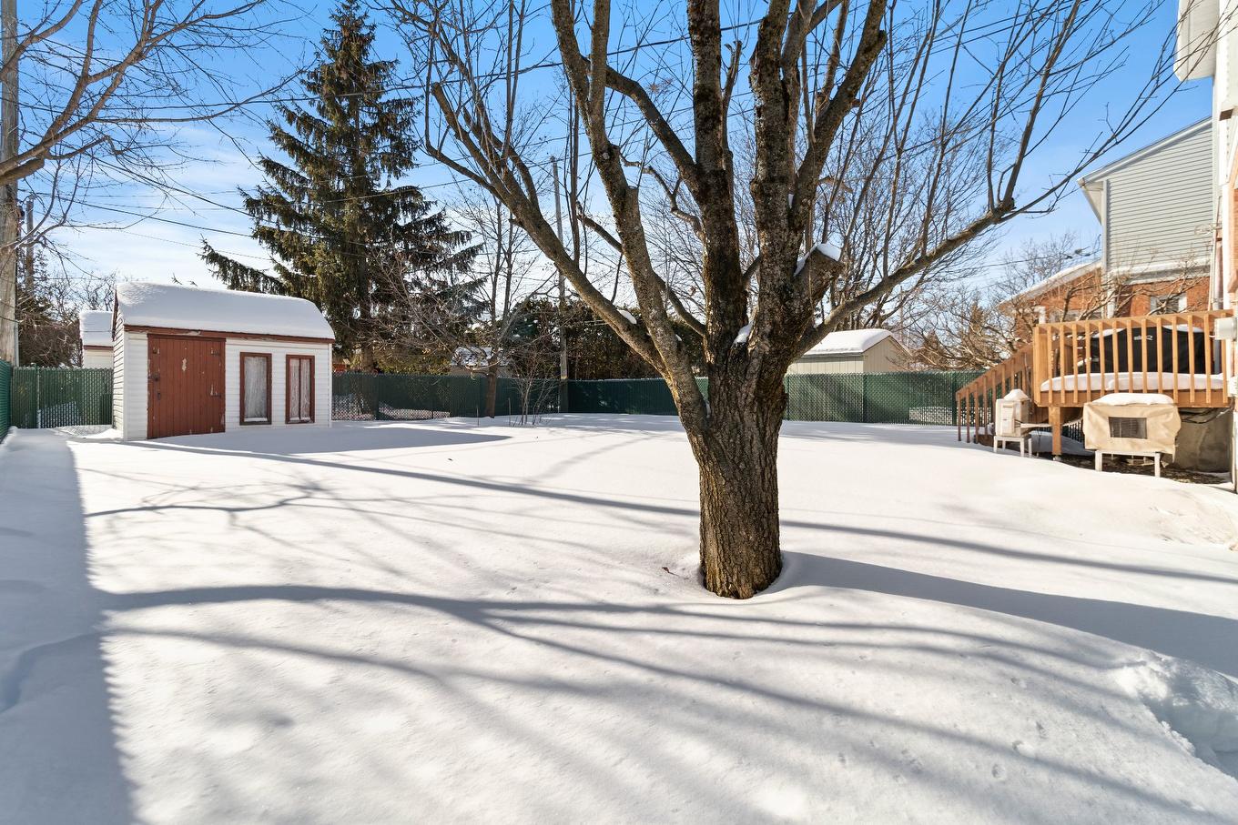 Cour - 1381 Boul. Gaétan-Boucher, Longueuil (Saint-Hubert), QC - Outdoor