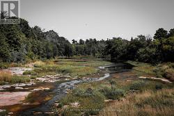 Nation river at it's driest summer 2025 -