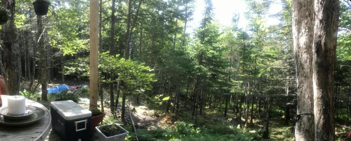 143 Cedar Drive, Cape George Estates, NS