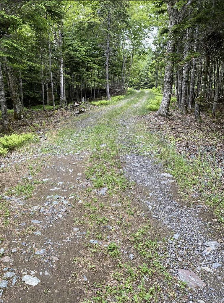 143 Cedar Drive, Cape George Estates, NS