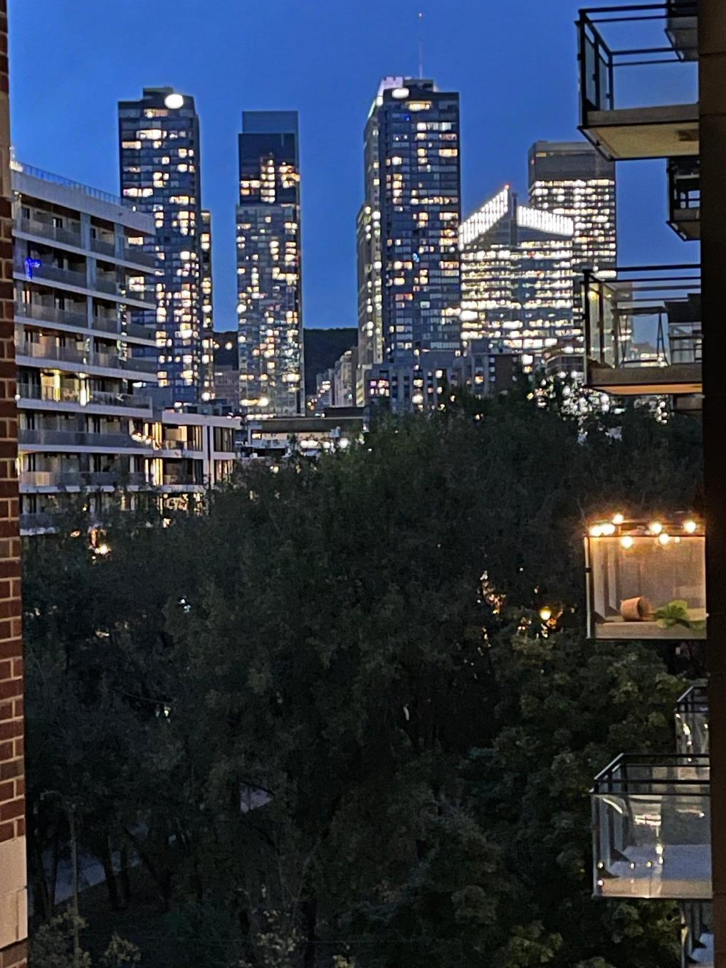 Vue - 703-1330 Rue Olier, Montréal (Le Sud-Ouest), QC - Outdoor