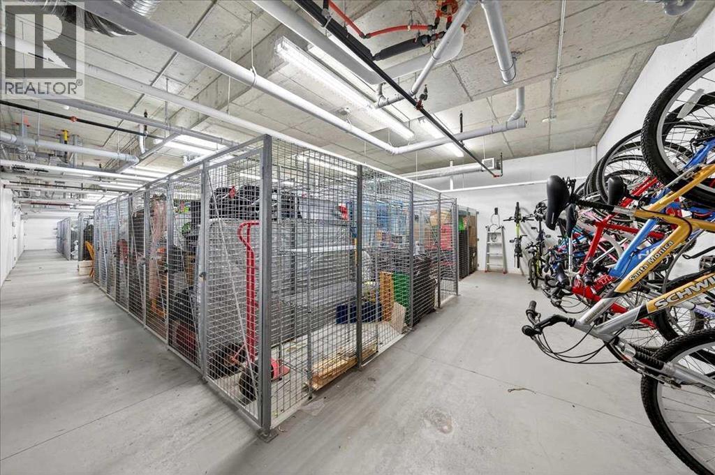 Storage no 36 - 302, 200 Cranfield Common Se, Calgary, AB - Indoor