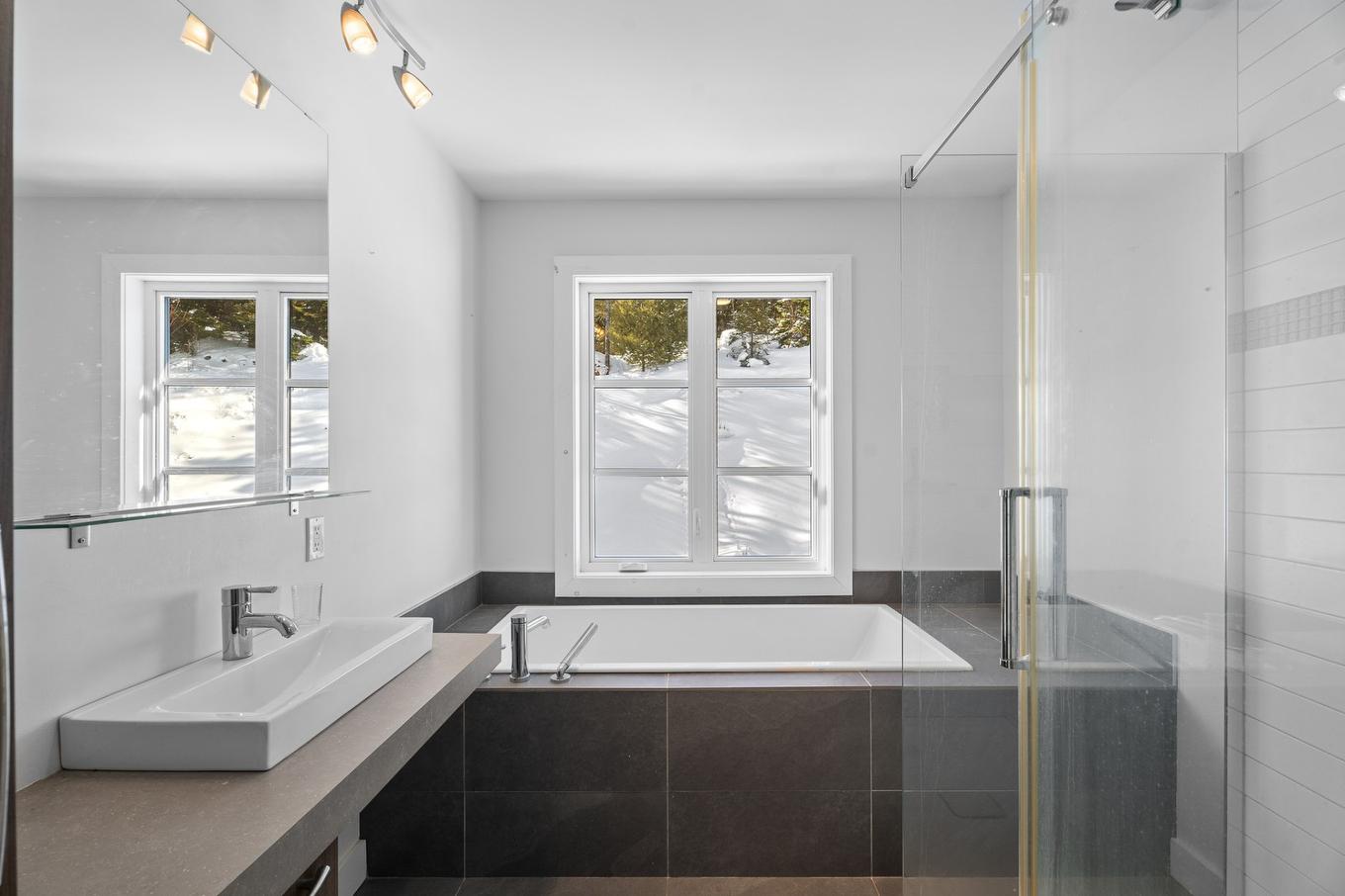 Salle de bains - 1548 Rue Roland-Plante, Val-David, QC - Indoor Photo Showing Bathroom