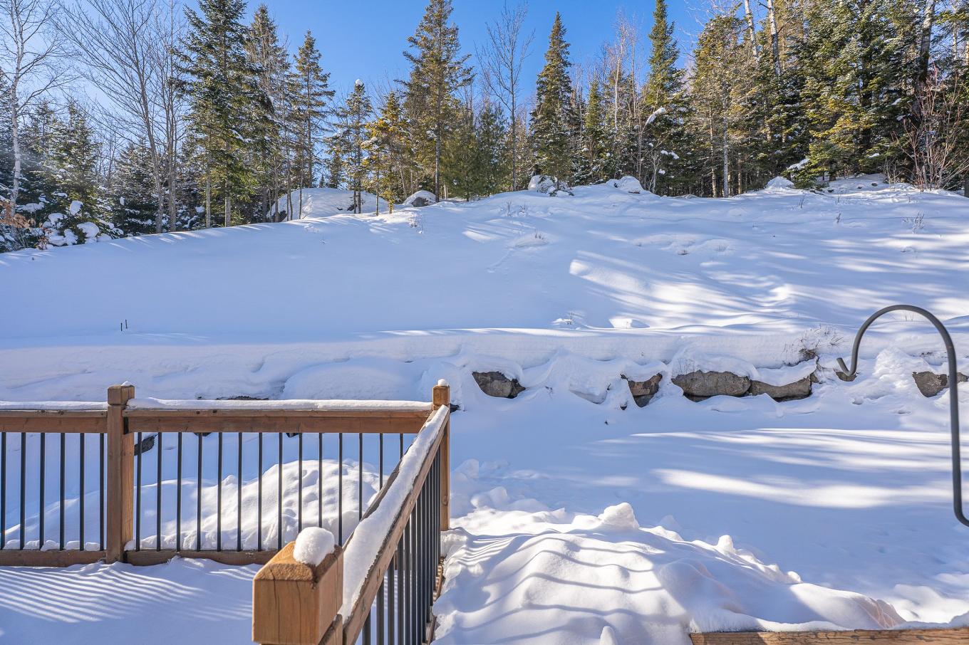 Cour - 1548 Rue Roland-Plante, Val-David, QC - Outdoor With View