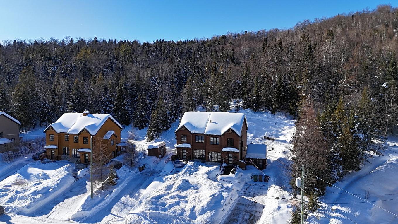 Photo aérienne - 1548 Rue Roland-Plante, Val-David, QC - Outdoor With View