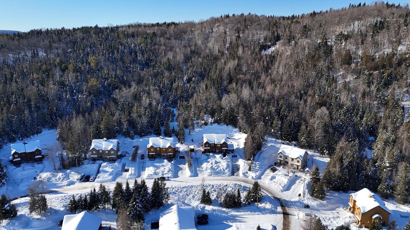 Photo aérienne - 1548 Rue Roland-Plante, Val-David, QC - Outdoor With View