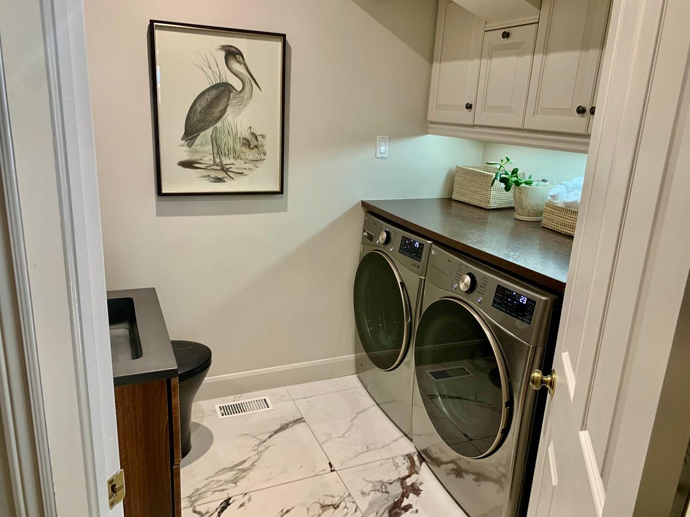 Salle de lavage - 268 Rue Vallée, Sainte-Anne-De-Bellevue, QC - Indoor Photo Showing Laundry Room