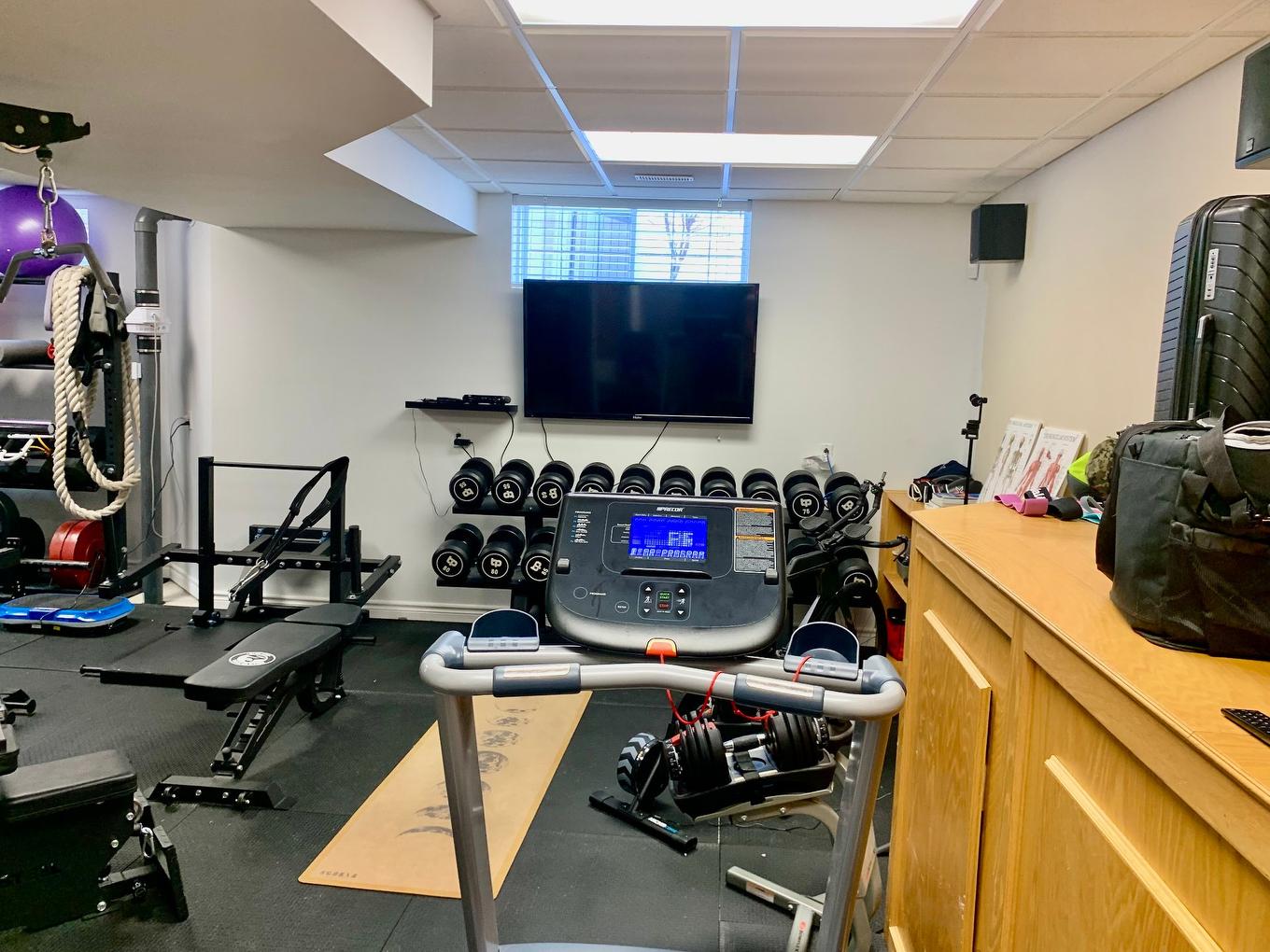 Salle d'exercice - 268 Rue Vallée, Sainte-Anne-De-Bellevue, QC - Indoor