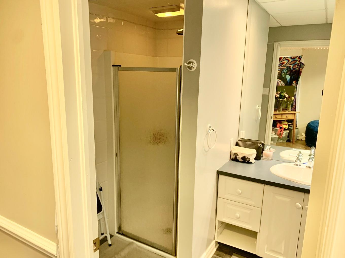 Salle de bains - 268 Rue Vallée, Sainte-Anne-De-Bellevue, QC - Indoor Photo Showing Bathroom