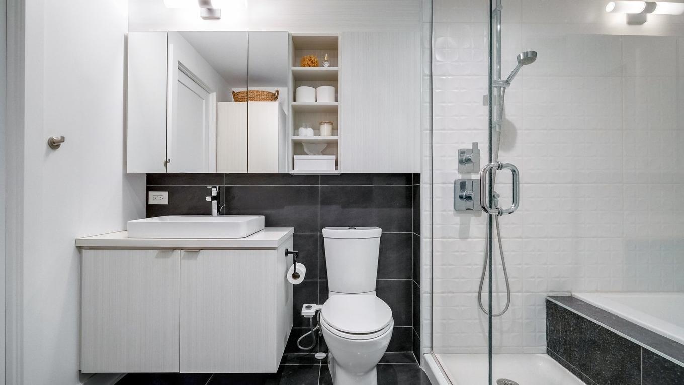 Salle de bains - 401-3900 Rue Marcel-Pepin, Montréal (Rosemont/La Petite-Patrie), QC - Indoor Photo Showing Bathroom