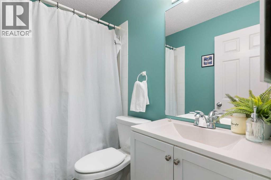 20 Willow Brook Crescent Nw, Airdrie, AB - Indoor Photo Showing Bathroom
