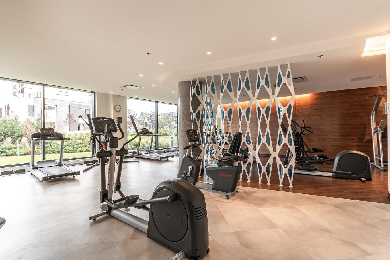 Salle d'exercice - 1805-101 Rue De La Rotonde, Montréal (Verdun/Île-Des-Soeurs), QC - Indoor Photo Showing Gym Room