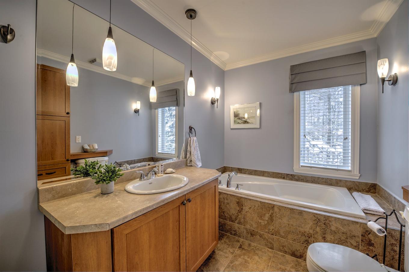 Bathroom - 312 Ch. Du Mont-Loup-Garou, Sainte-Adèle, QC - Indoor Photo Showing Bathroom