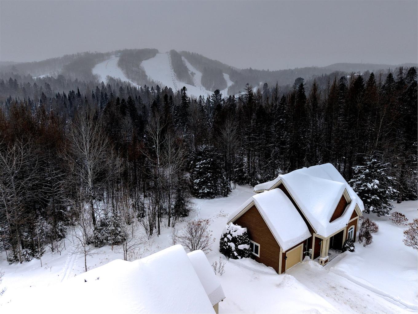 View - 312 Ch. Du Mont-Loup-Garou, Sainte-Adèle, QC - Outdoor With View