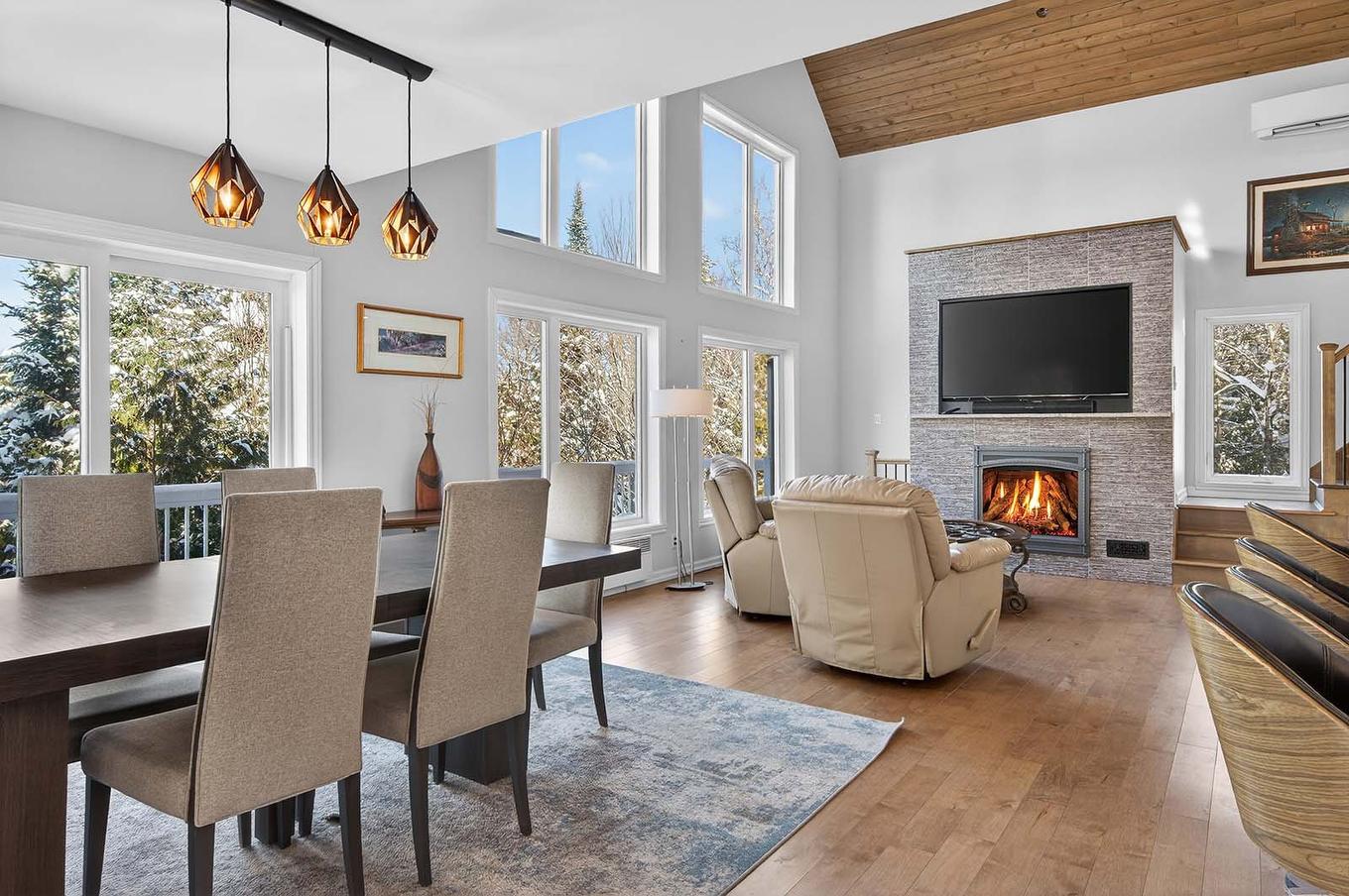 Salon - 780 Ch. De La Presqu'Île, Rivière-Rouge, QC - Indoor With Fireplace