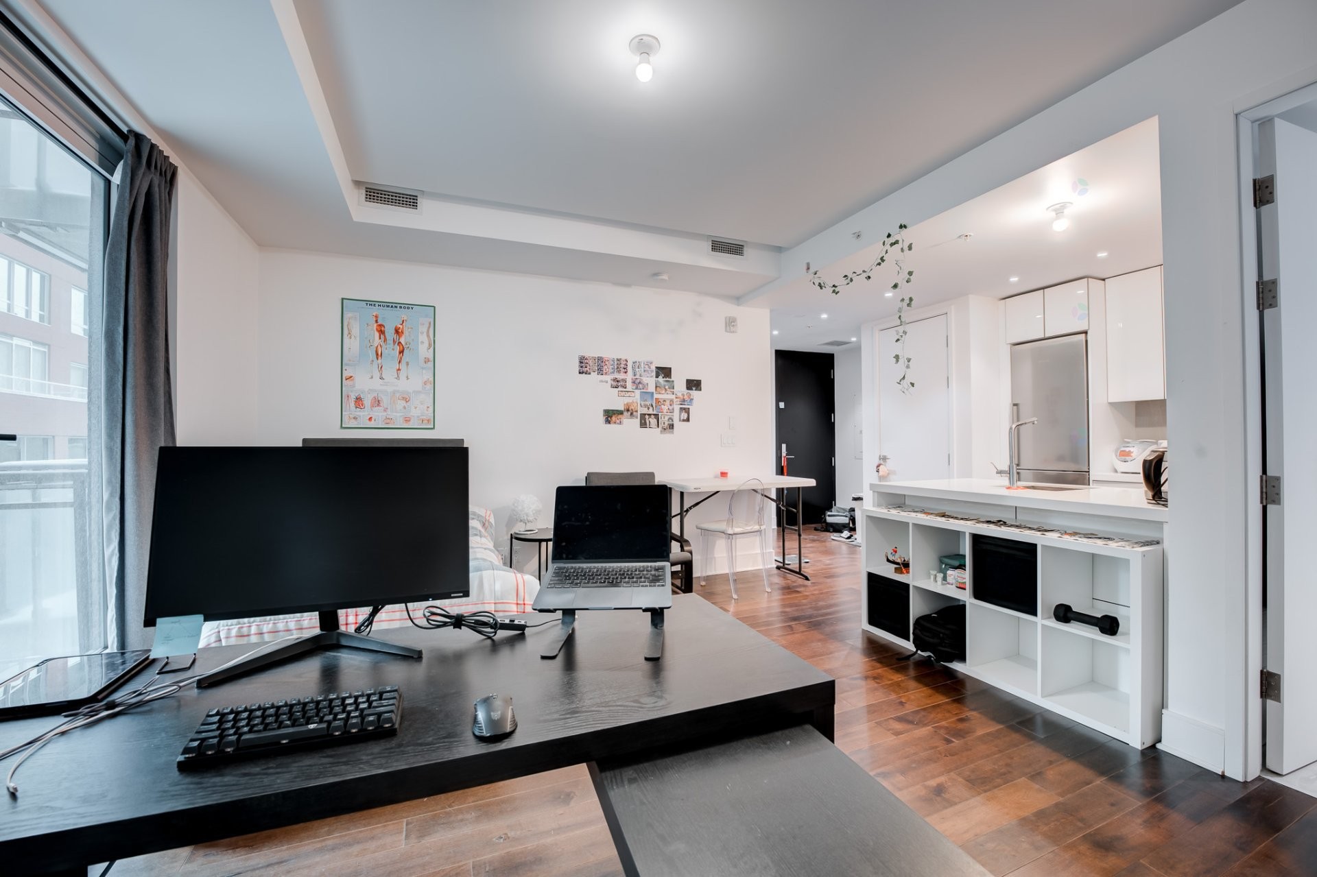 Living Room - 1105-1188 Av. Union, Montréal (Ville-Marie), QC - Indoor