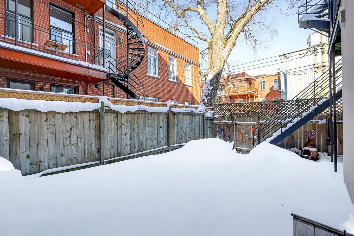 Cour - 4837 Rue Jeanne-Mance, Montréal (Le Plateau-Mont-Royal), QC - Outdoor