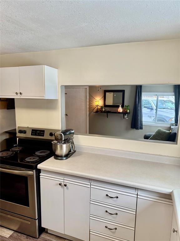 484 Thomas Drive S, Virden, MB - Indoor Photo Showing Kitchen
