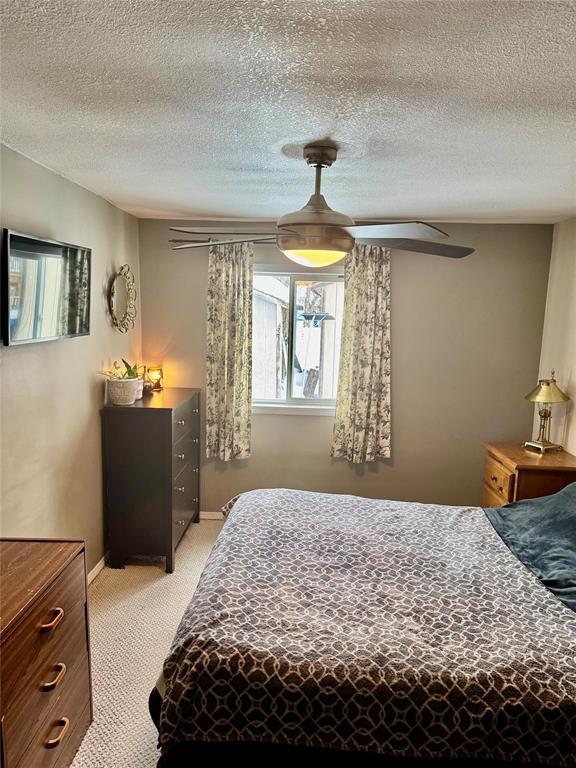 484 Thomas Drive S, Virden, MB - Indoor Photo Showing Bedroom