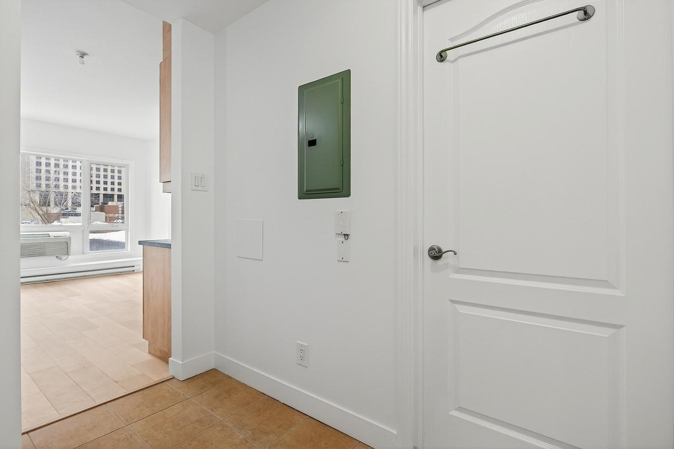 Vue d'ensemble - 411-825 Boul. René-Lévesque E., Montréal (Ville-Marie), QC - Indoor Photo Showing Other Room