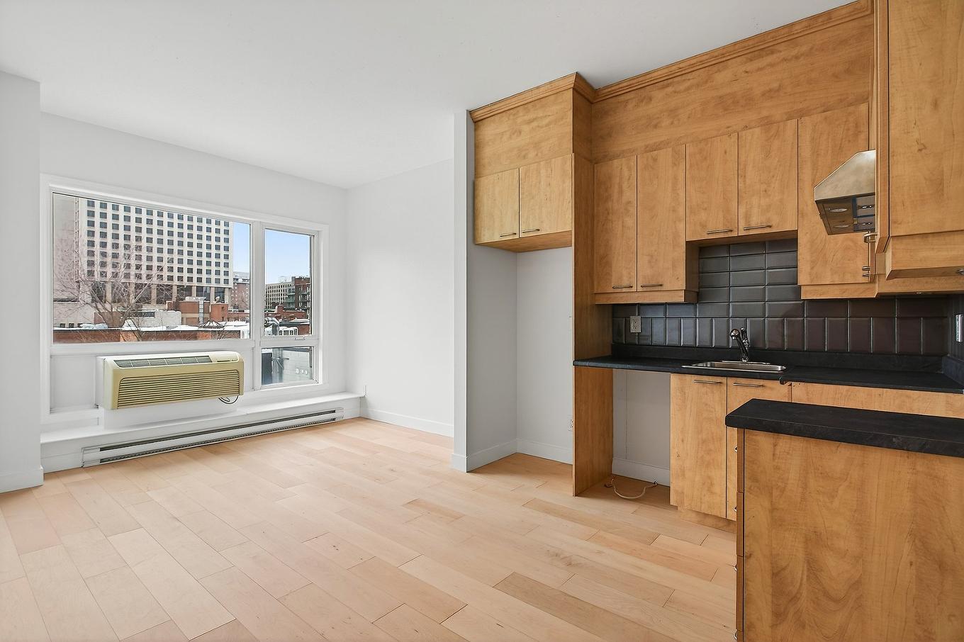 Vue d'ensemble - 411-825 Boul. René-Lévesque E., Montréal (Ville-Marie), QC - Indoor Photo Showing Kitchen