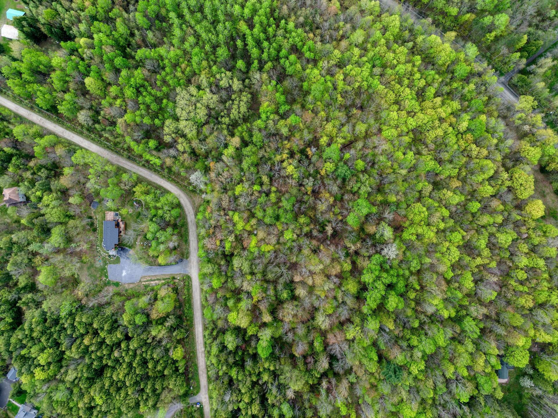 Other - Ch. Des Faisans, Potton, QC