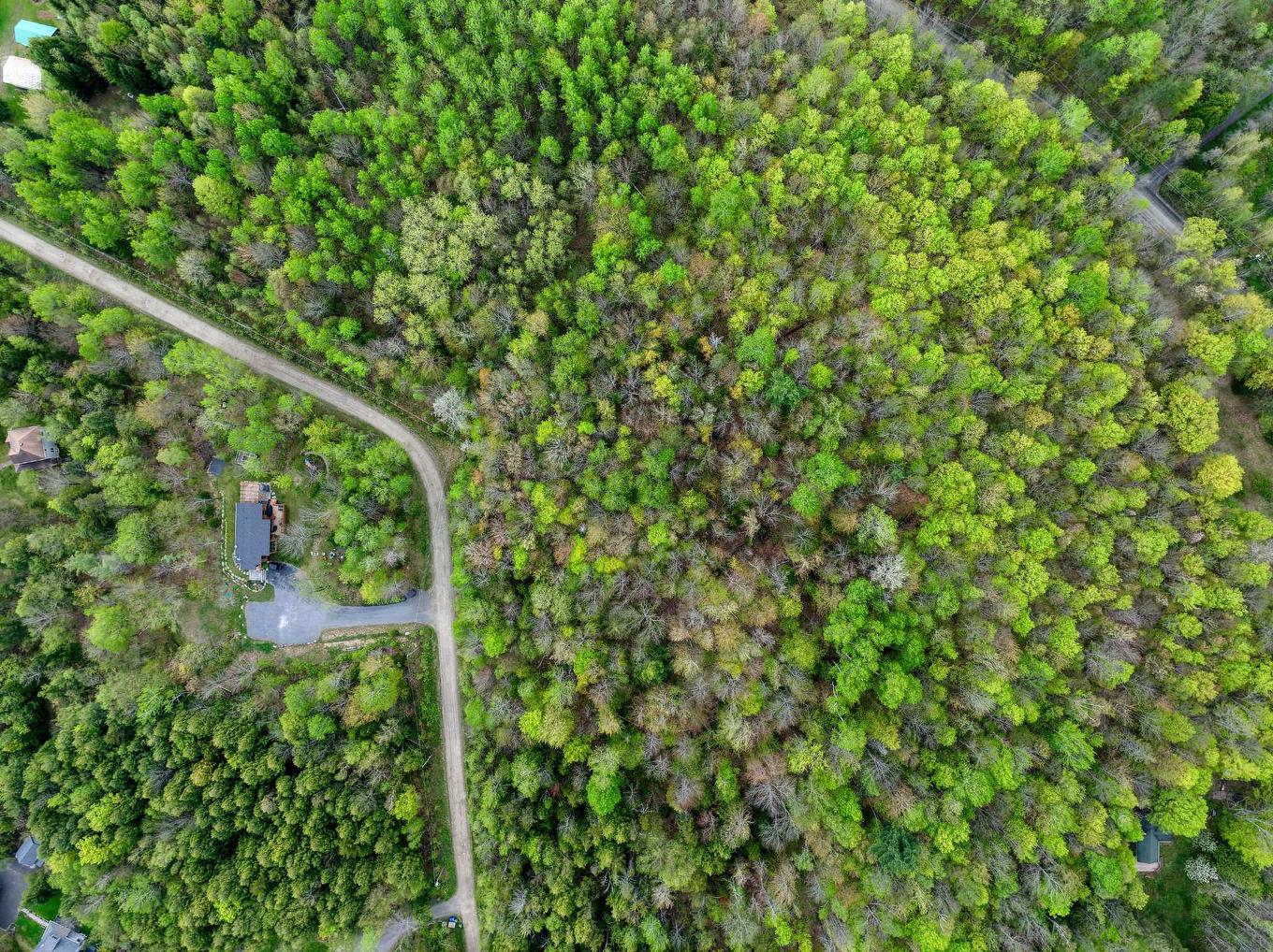 Autre - Ch. Des Faisans, Potton, QC