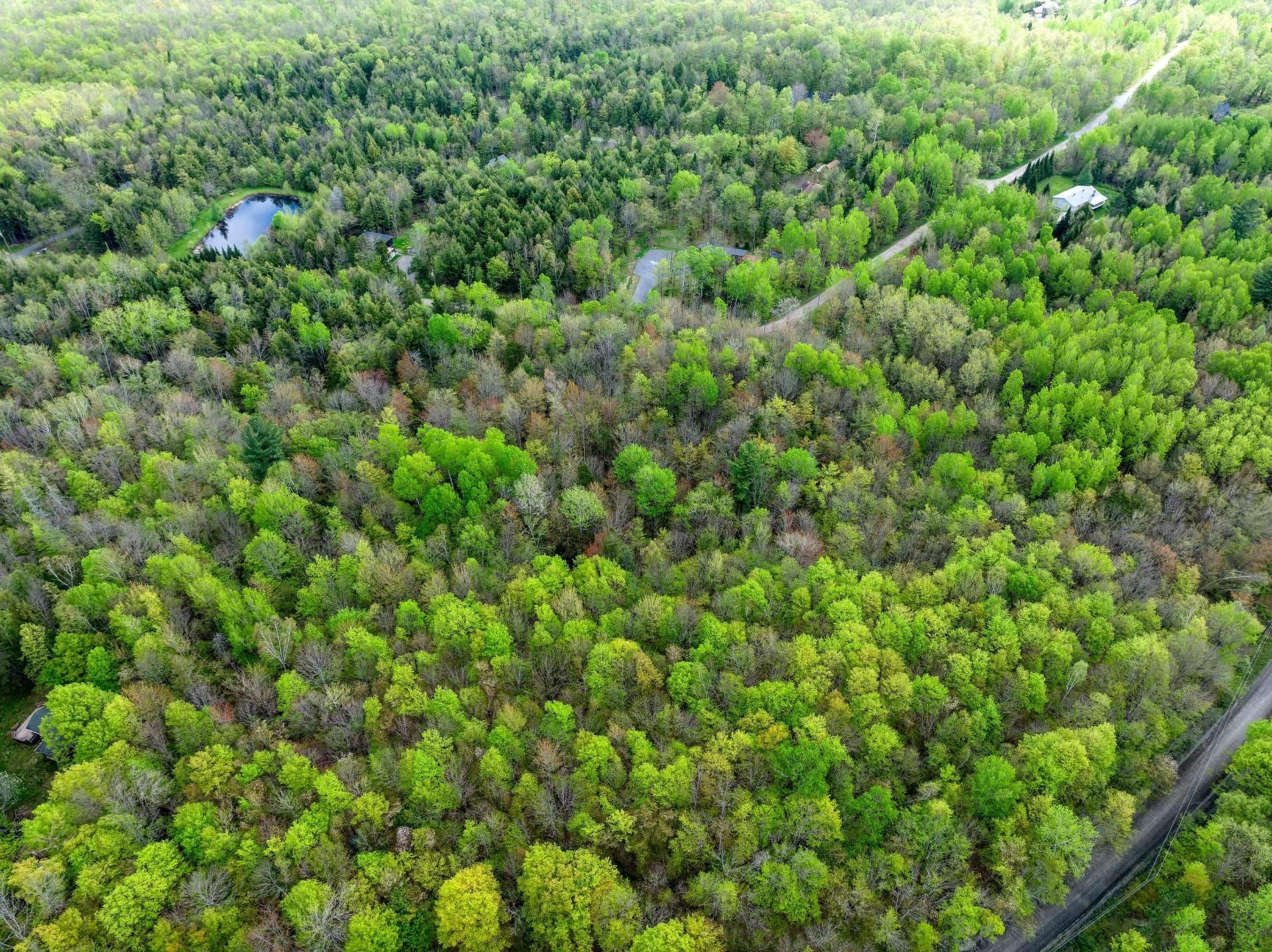 Other - Ch. Des Faisans, Potton, QC