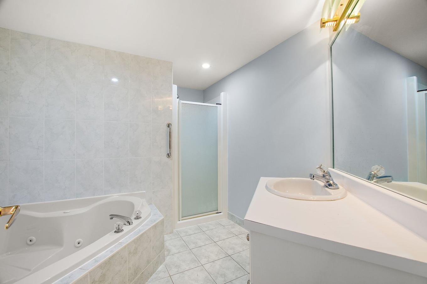 Ensuite bathroom - 301-2900 Boul. De La Côte-Vertu, Montréal (Saint-Laurent), QC - Indoor Photo Showing Bathroom