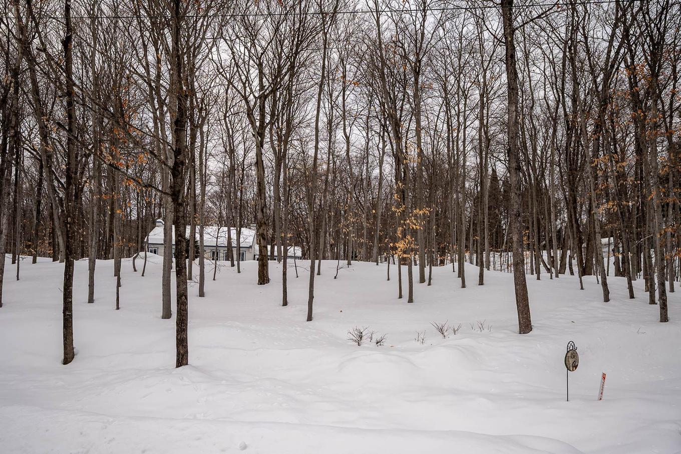 Exterior - 1515 Rue Ferland, Prévost, QC - Outdoor With View