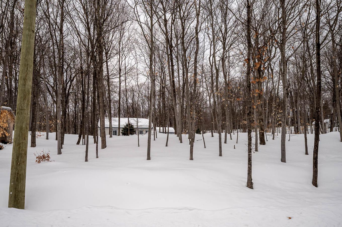 Exterior - 1515 Rue Ferland, Prévost, QC - Outdoor With View